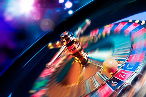 evos betting history dashboard interface